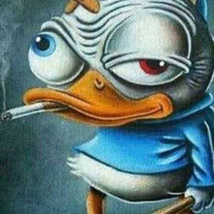 Meet your Posher, Budd